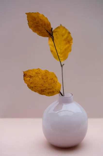 Optimist_Mockup.jpg